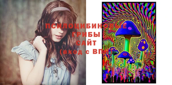 ПСИЛОЦИБИНОВЫЕ ГРИБЫ Абинск