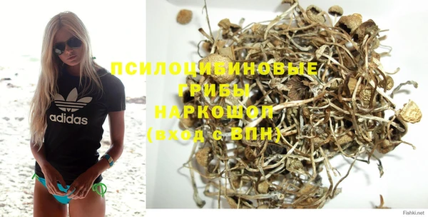 скорость Алзамай