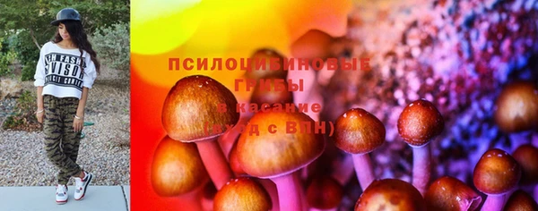 соль ск Алексеевка